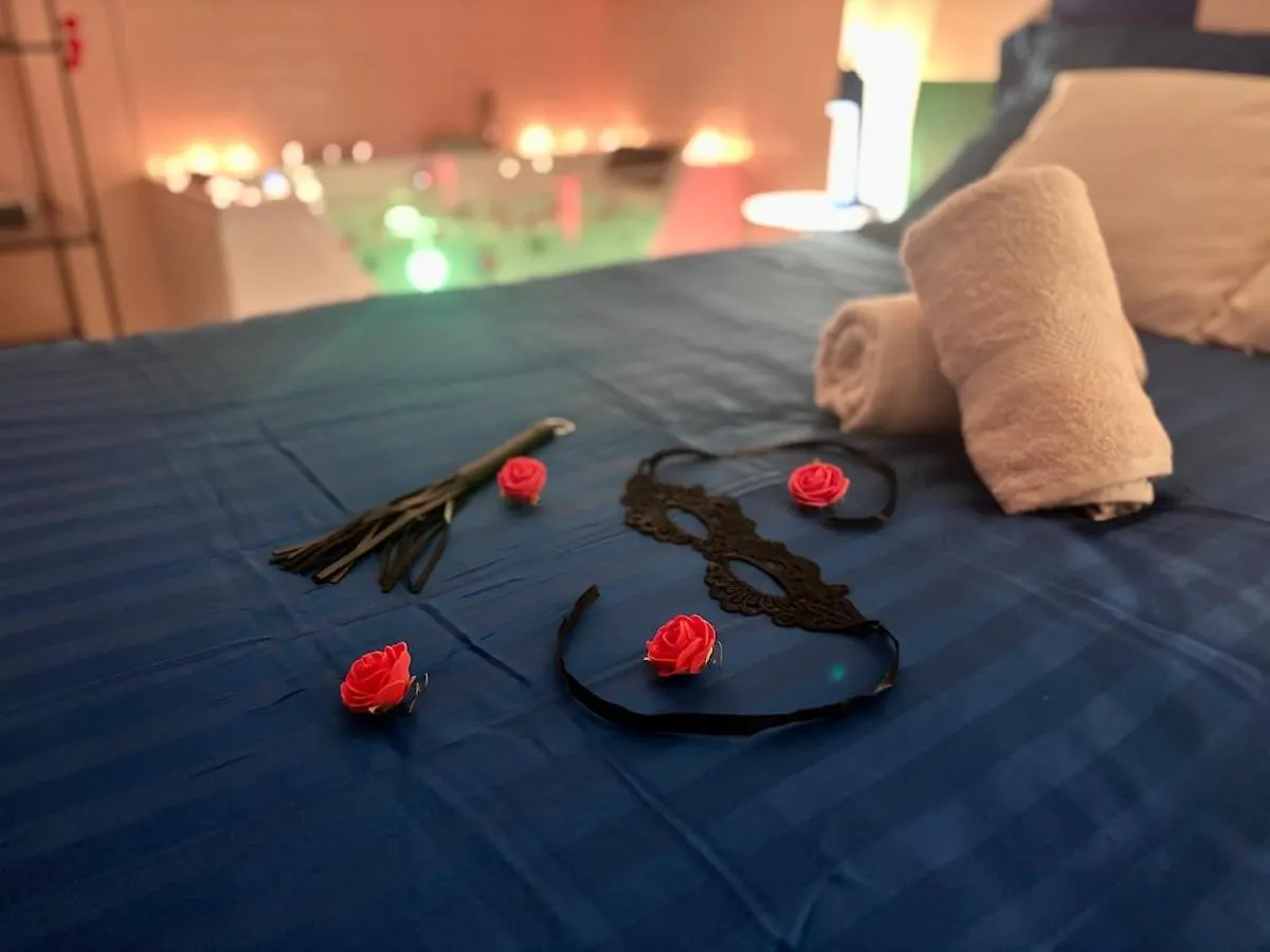 La Sixtys Room Loveroom Castres  Apartment